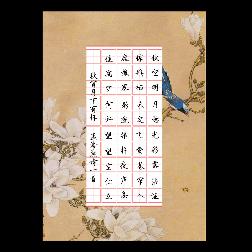 硬笔钢笔书法专用练习纸 创作展览比赛用纸 田字格纸16k-3-02款