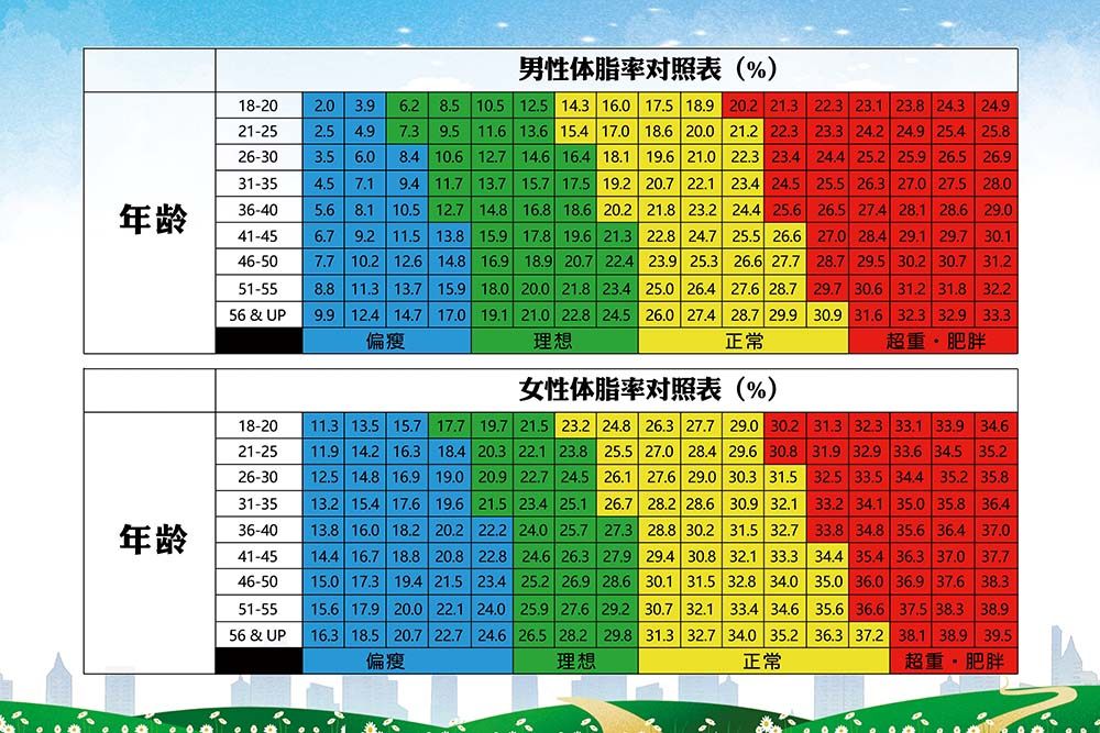 m769男女性体脂率对照表健身房装饰墙贴挂图写真喷绘海报印制2465