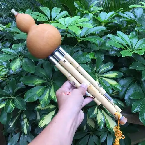 九孔480元包邮新疆青海内蒙西藏辽宁吉林黑龙江葫芦丝