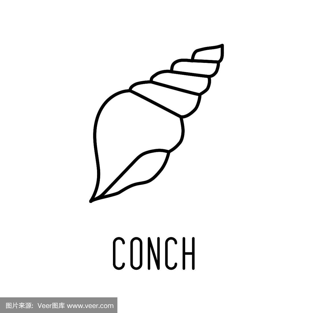 海螺,线图标,螺线,新加坡,热带气候