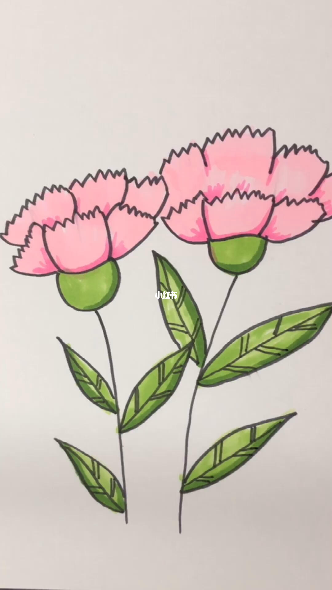 康乃馨简笔画