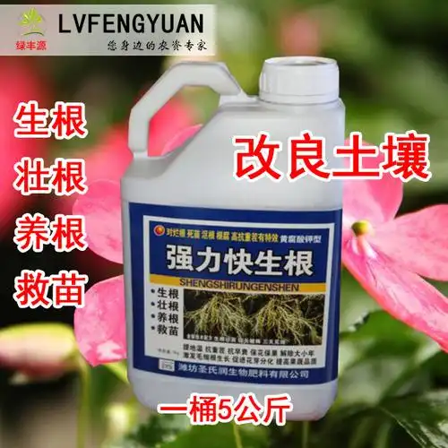 进口强力快生根剂生根壮苗剂 生根液大树花卉蔬菜