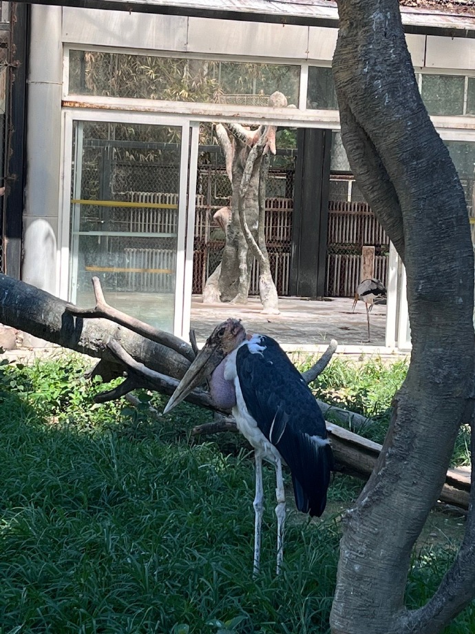 北京动物园##西直门三太子