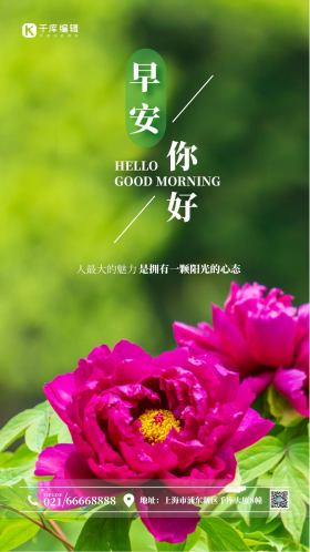 紫红色牡丹摄影图海报 早安 你好 早上好 问候 日签 文艺