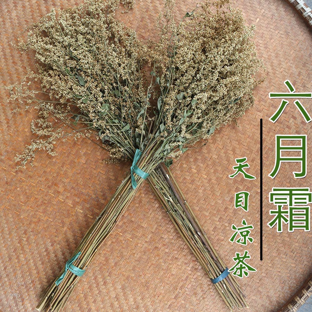 野生高山六月霜茶250g防中暑解暑花草农家纯天然清凉茶夏天饮用水