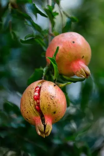 家在易县――诗意的栖居 - 美篇