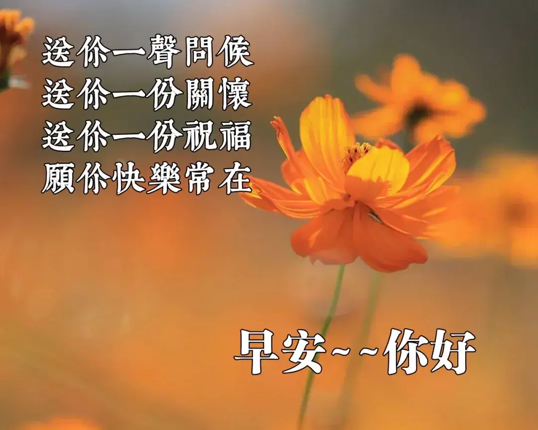 新版早上好问候语图片大全 2021最新早安祝福语带图片_手机搜狐网