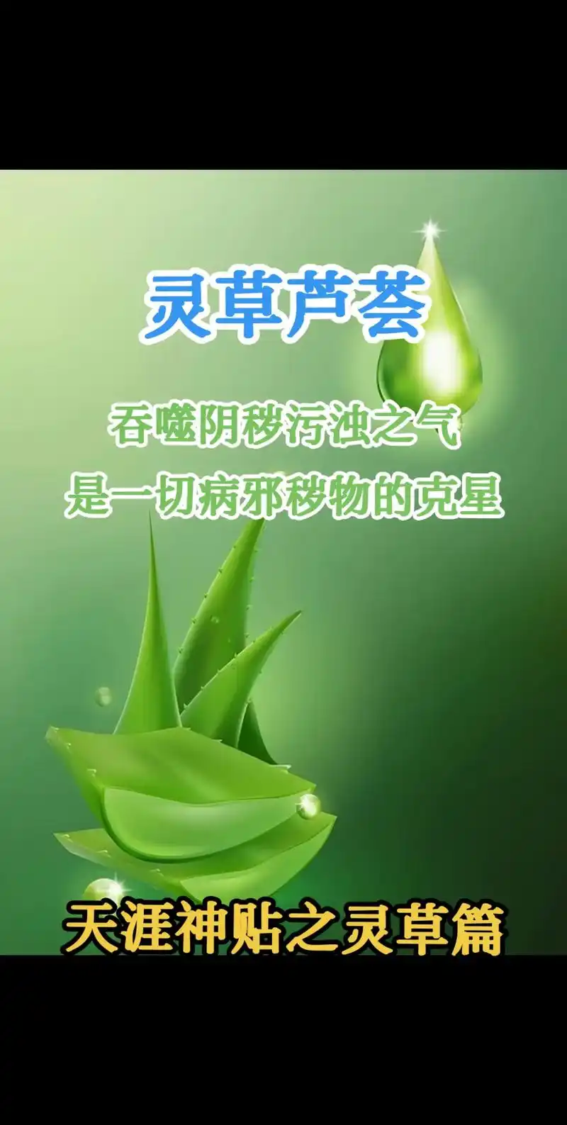 天涯十大神贴之灵草灵宠芦荟篇.