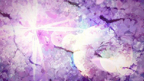 3月,我想带你去日本看一场樱花雨