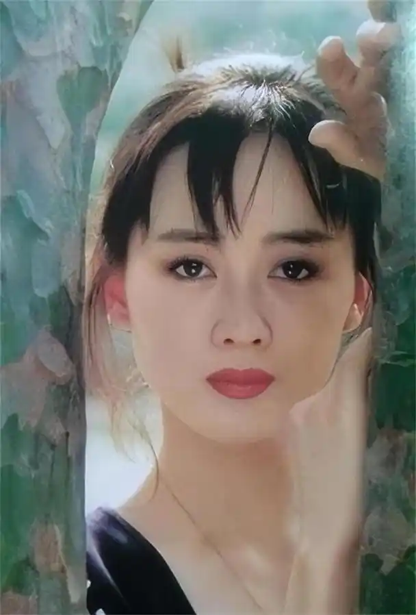 李琳个人资料老公是谁(李琳25岁成影后被前夫一巴掌扇到离婚)(3)