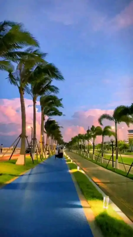 浪漫珠海,晚霞中的情侣路.-度小视