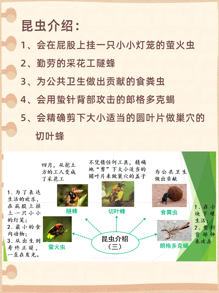 今天我将向大家推荐一本以昆虫为主题的经典作品——《昆虫记》!