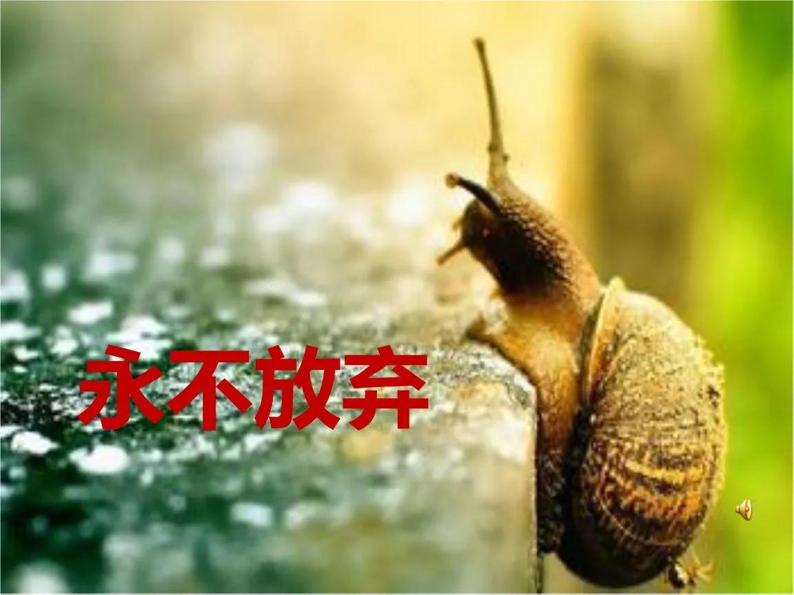 关于努力学习的说说配图「短句」 _qq说说网