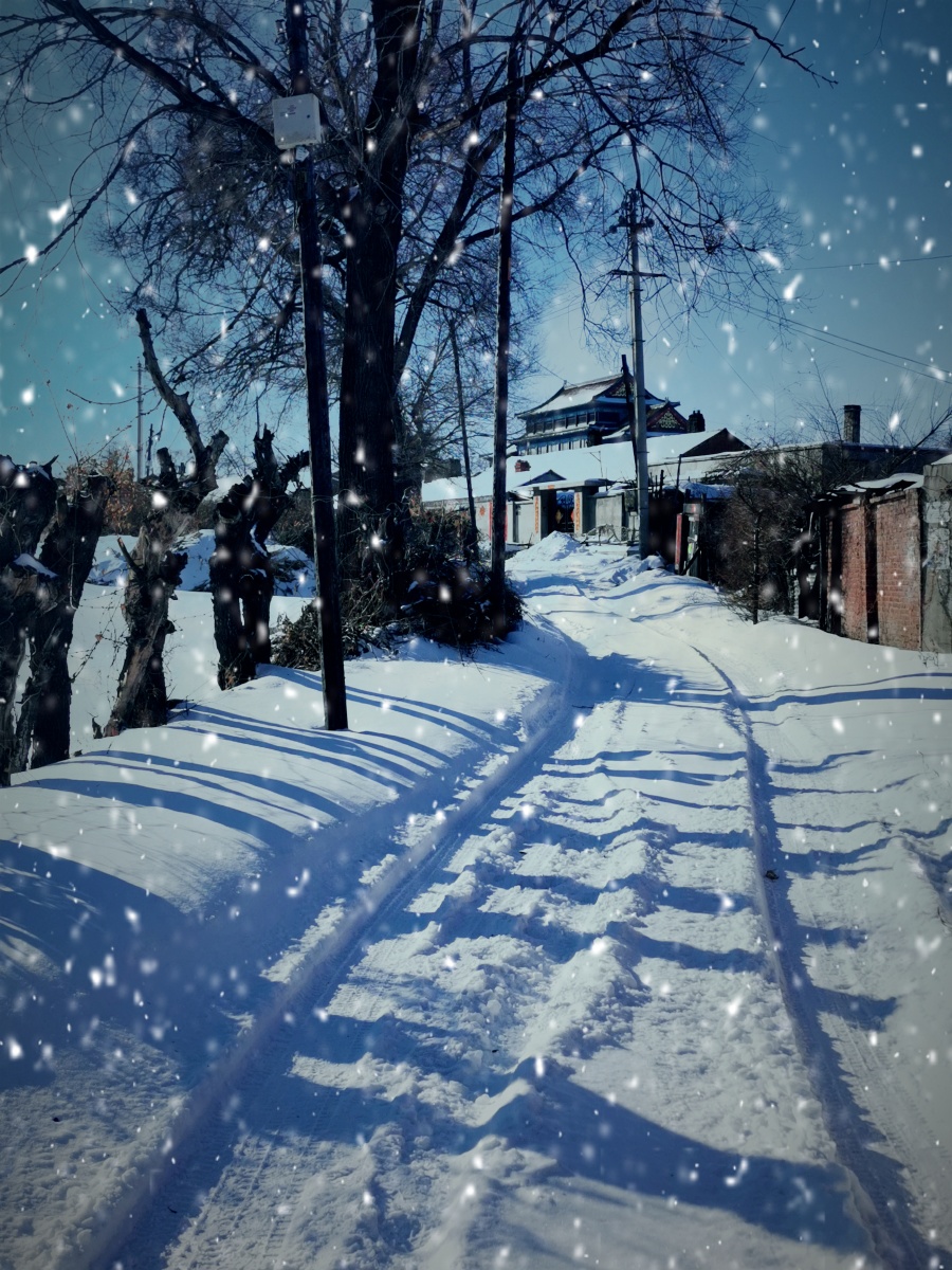 东北乡村雪景 - 肖殿昌 - 图虫