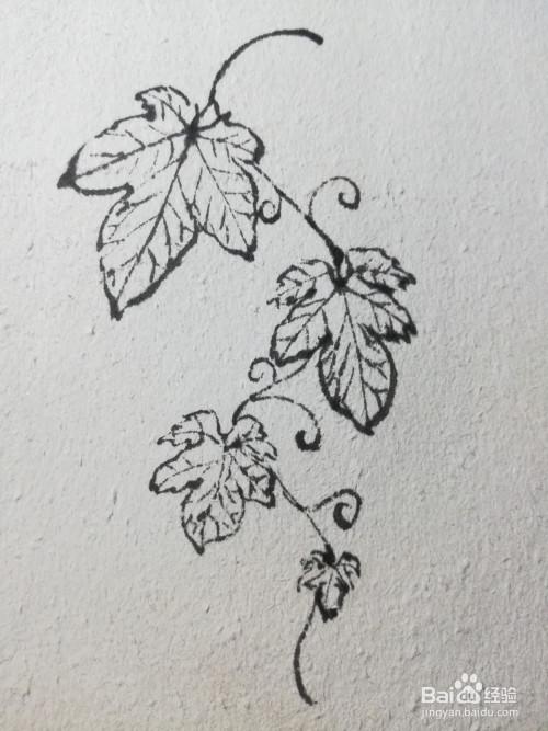 爬山虎秋景简笔画