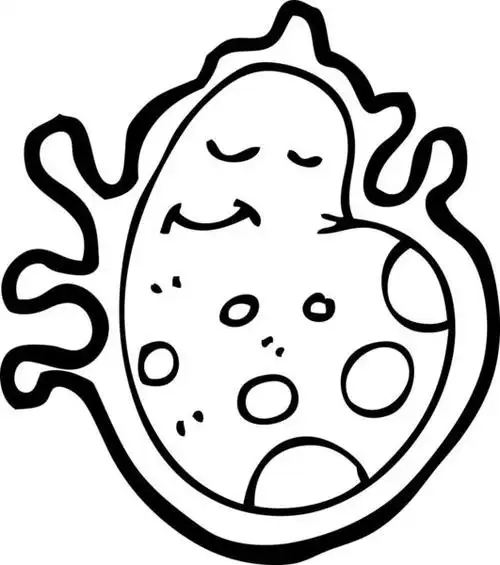 细菌简笔画图片 细菌简笔画图片大全可爱画法