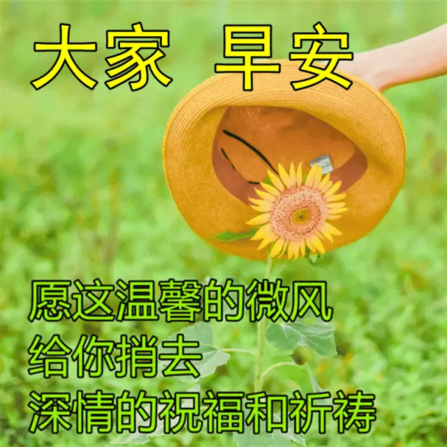 今日最新早上好表情图片大全,天气在变,牵挂不变_星期六_人生_朋友