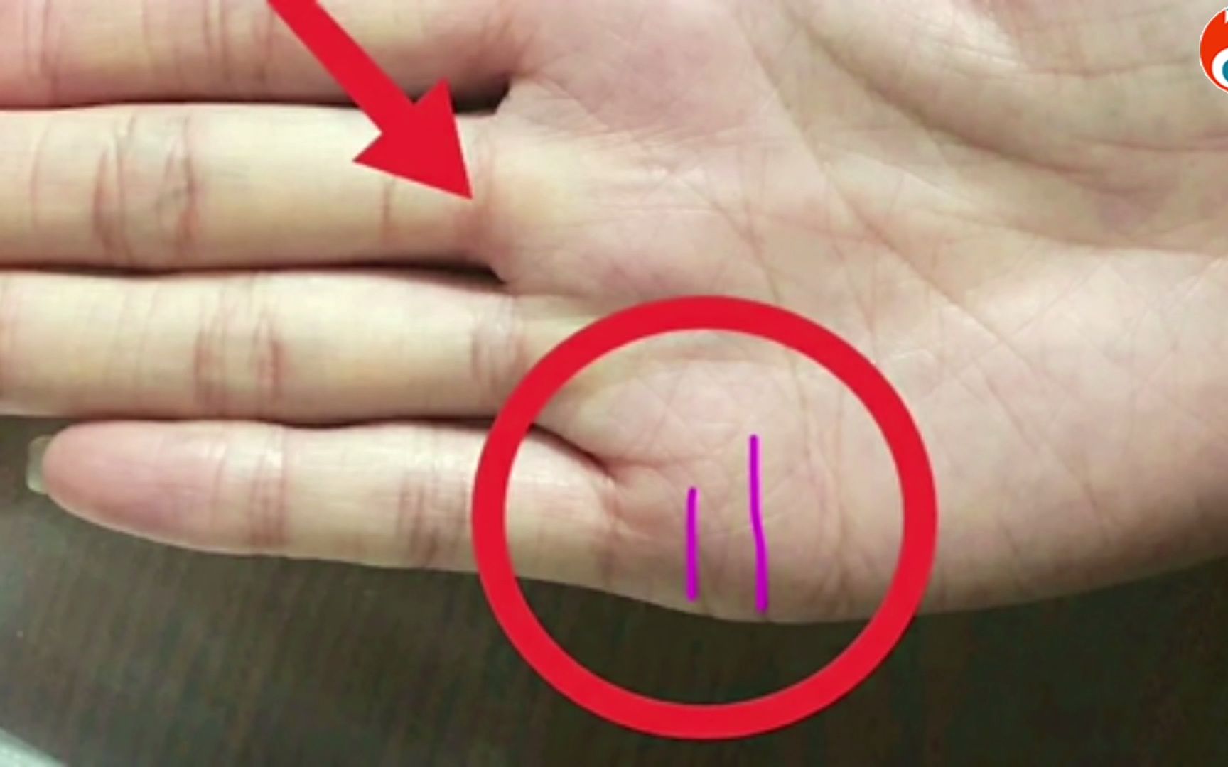 麻衣相法:小指下方"婚姻线一长一短"感情中"秉性不合"的手相