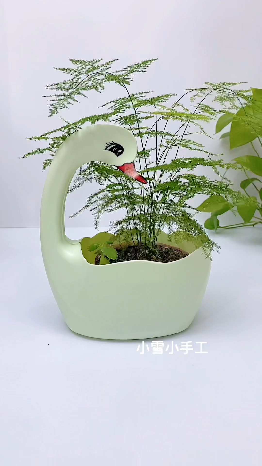 手工制作洗衣液瓶子改造花盆你学会了吗