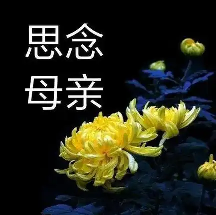 没有母亲的母亲节.怀念妈妈 又是一年母亲节,最心酸的一句话就 - 抖音