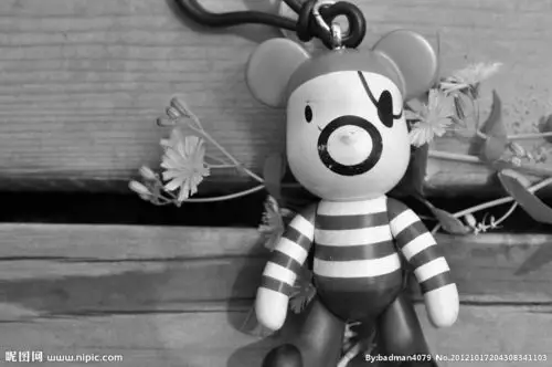 丢失的暴力熊图片