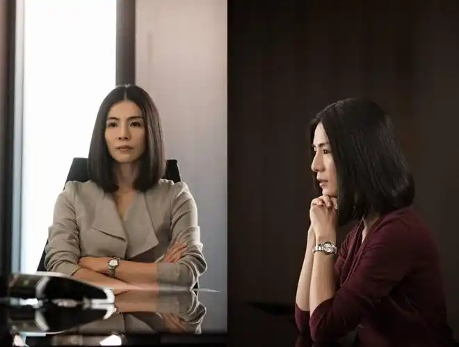 寒战Ⅱ我对权利没兴趣我只针对你