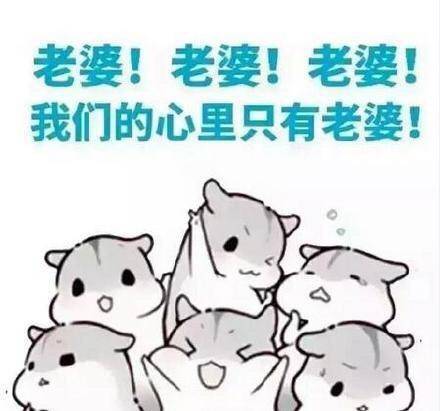 老婆我只疼你的搞笑图片我的心里只有老婆