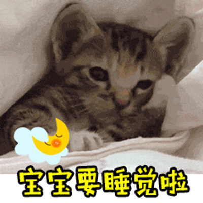 猫咪搞笑可爱gif表情包全套307712018-09-01抖音请睁大眼睛表情包大全