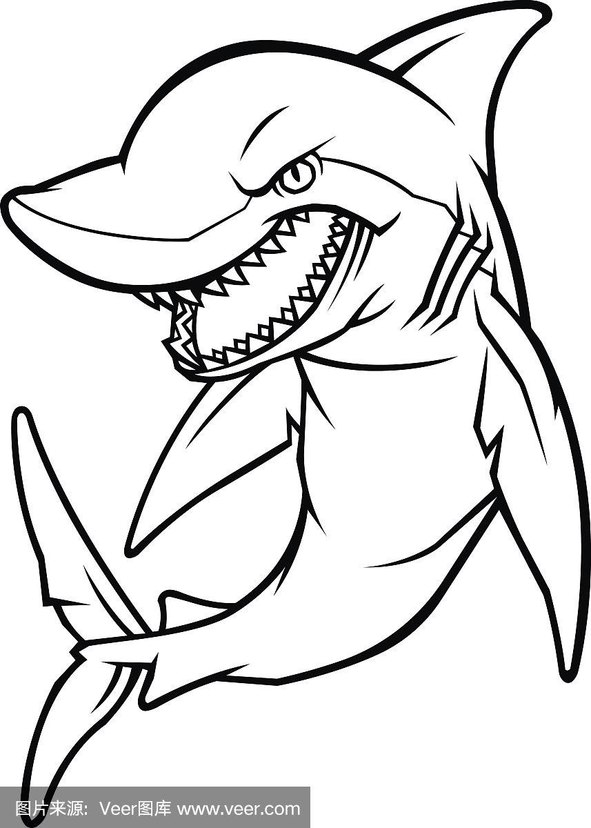 鲨鱼.向量的简单说明.