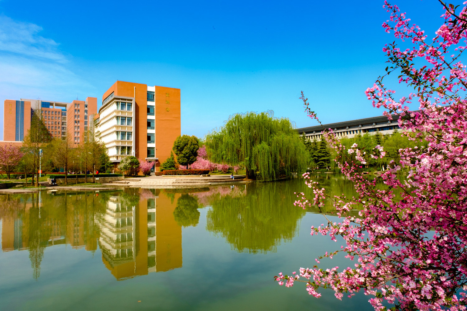 校园风景(12)-河南科技大学人文学院官方网站