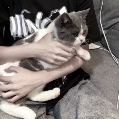 奶猫/我自逍遥 锐意无限/_男生头像_我要个性网