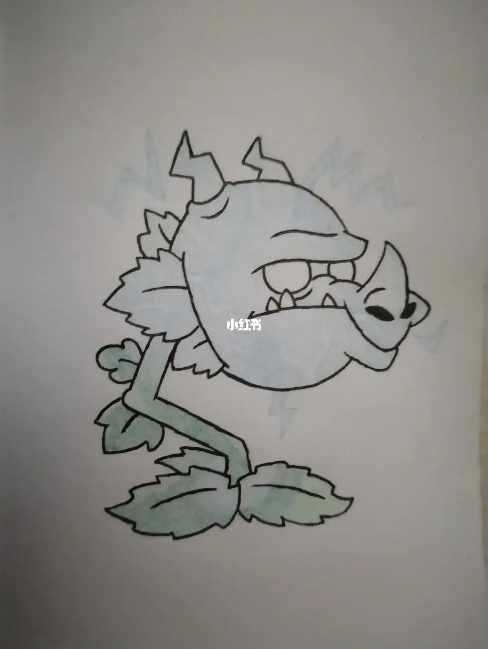 植物绘画雷龙草