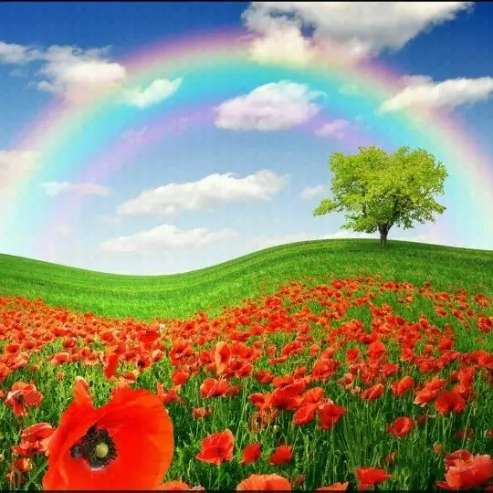 华丽感恩有你《停币暂退》-雨荷- 全民k歌,ktv交友社区