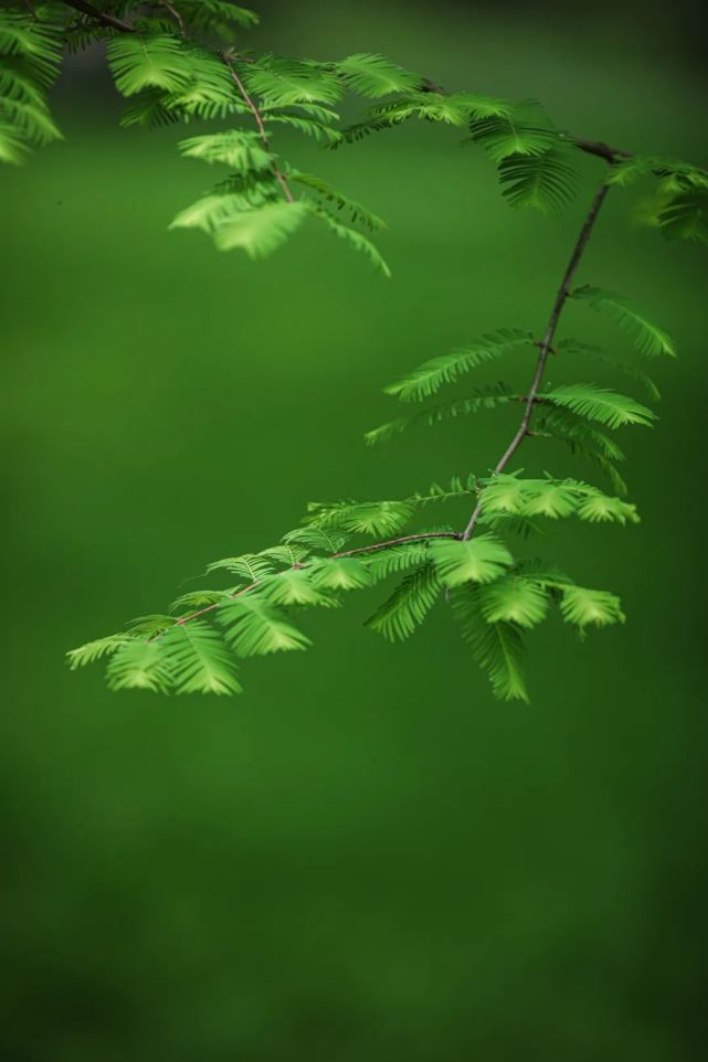 2021入伏出伏时间