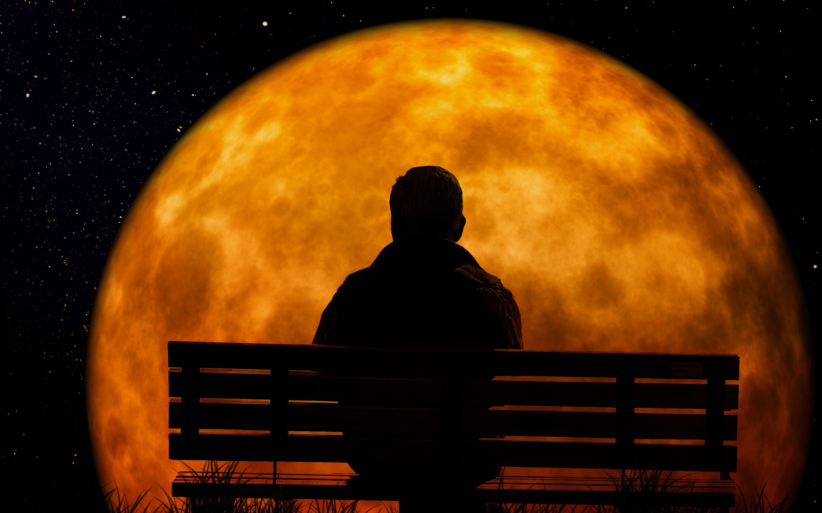 孤独凄凉的背影