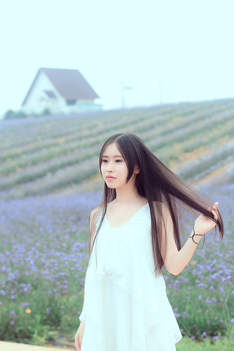 纯白纱裙包子脸美女薰衣草田唯美写真