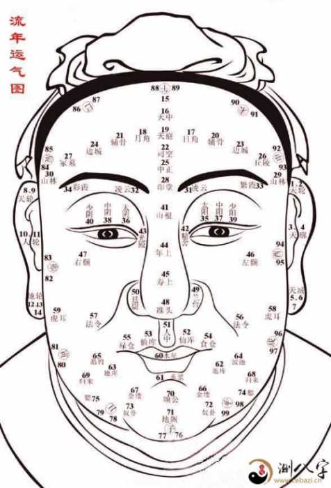 面相基本图,相术关键知识要点!