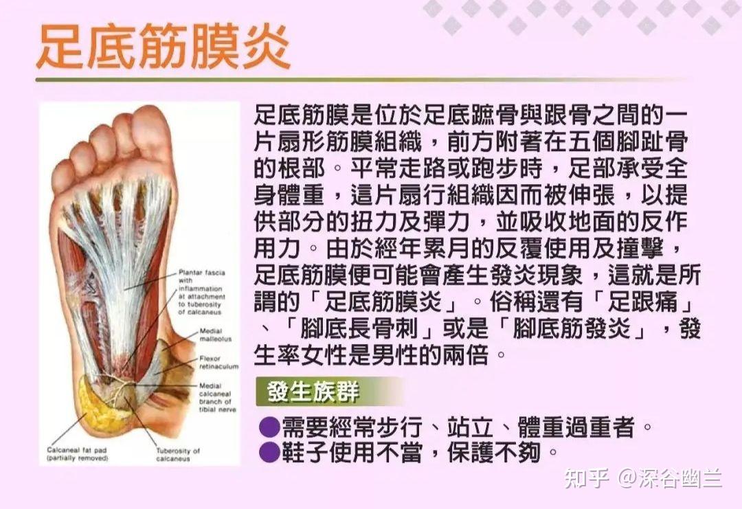 跟腱炎是因为在运动过程中小腿腓肠肌和跟腱承受了太大的压力导致,使
