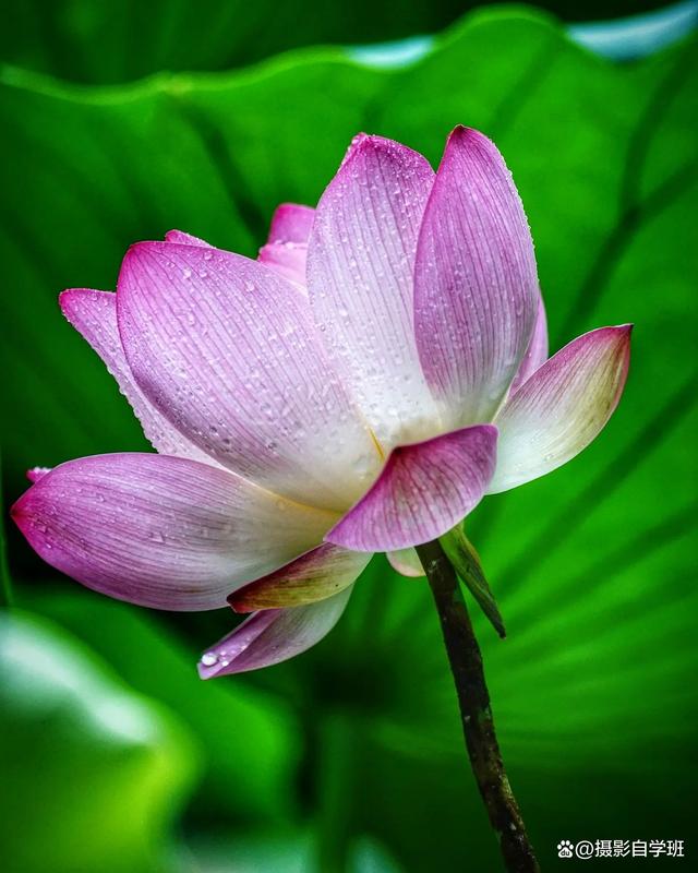 640_800竖版 竖屏