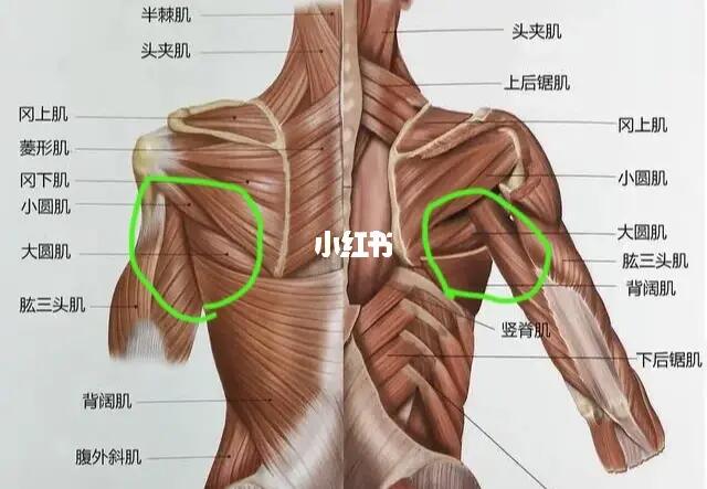 后背疼怎么缓解