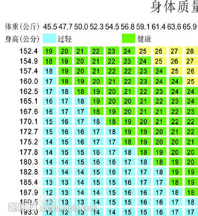 bmi指数