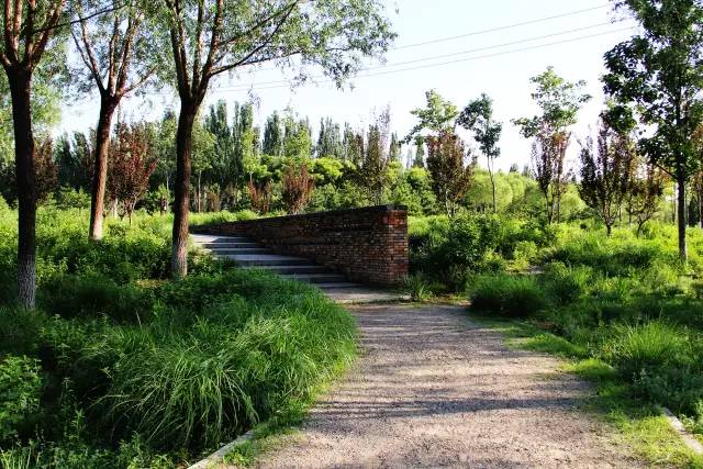 走进中关村森林公园回望唐家岭惊叹巨变