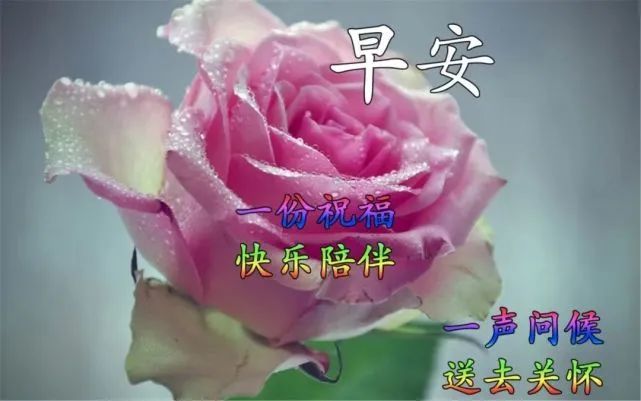 早上好最好看的图片大全适合早上发的朋友圈早安语