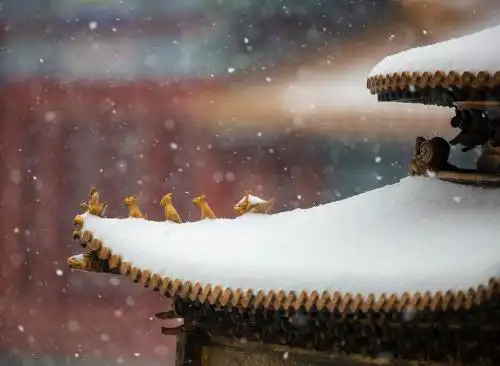 中国北京故宫冬日雪景