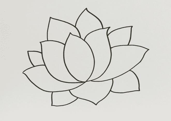 简笔画 植物简笔画 简单好看的荷花简笔画画法步骤教程   荷花又名