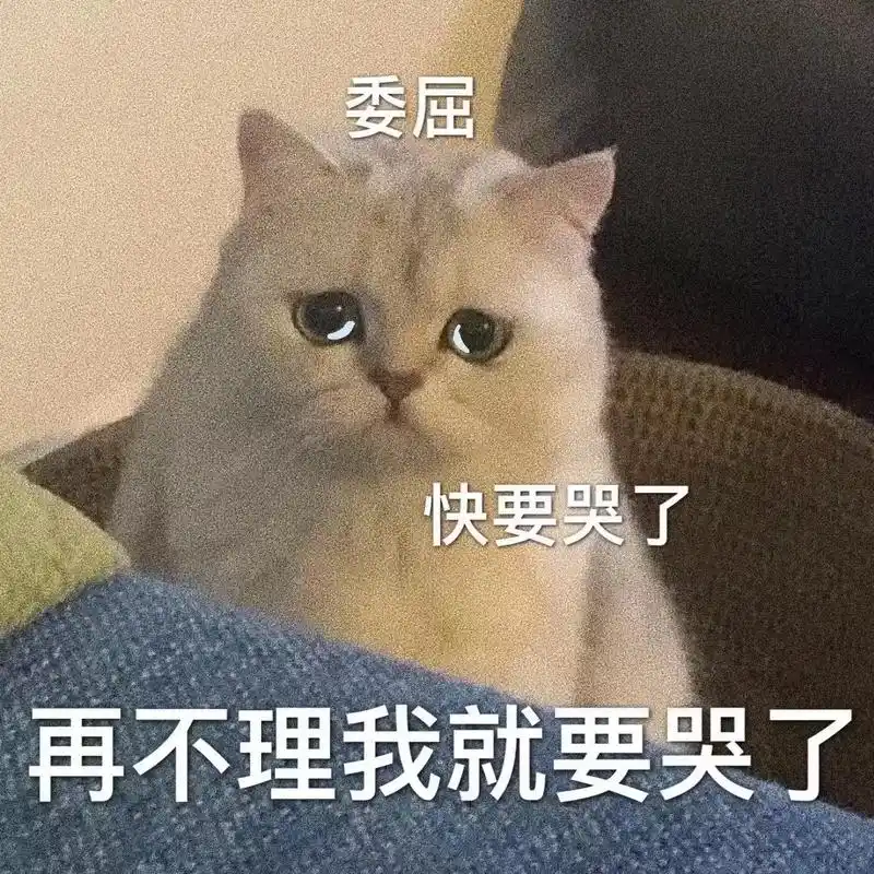 弱小可怜又无助 猫猫表情包,在不理我我就哭哭了#表情包 # - 抖音