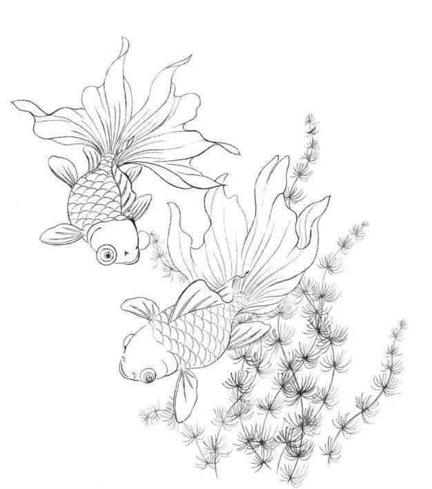 工笔画《鱼戏图》绘制分染全过程_金鱼