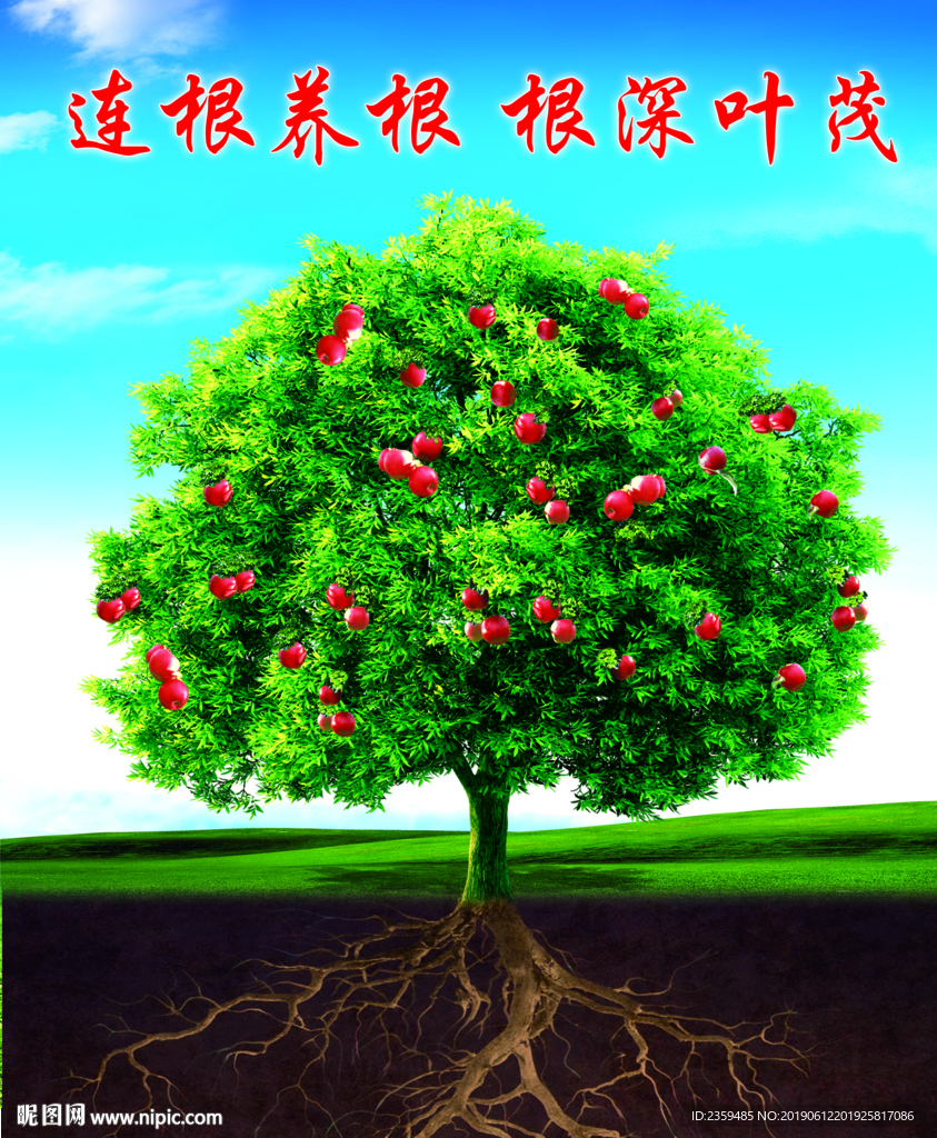 连根养根 根深叶茂图片