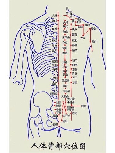 背部是「五脏六腑」反射区6015多疏通按摩很养生 背部按摩可以