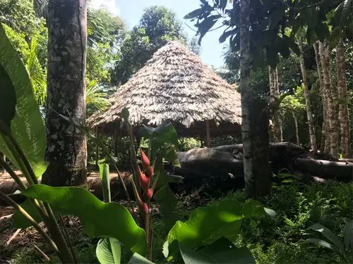 我的秘鲁之旅--亚马逊原始部落探访